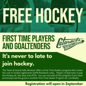 freehockey